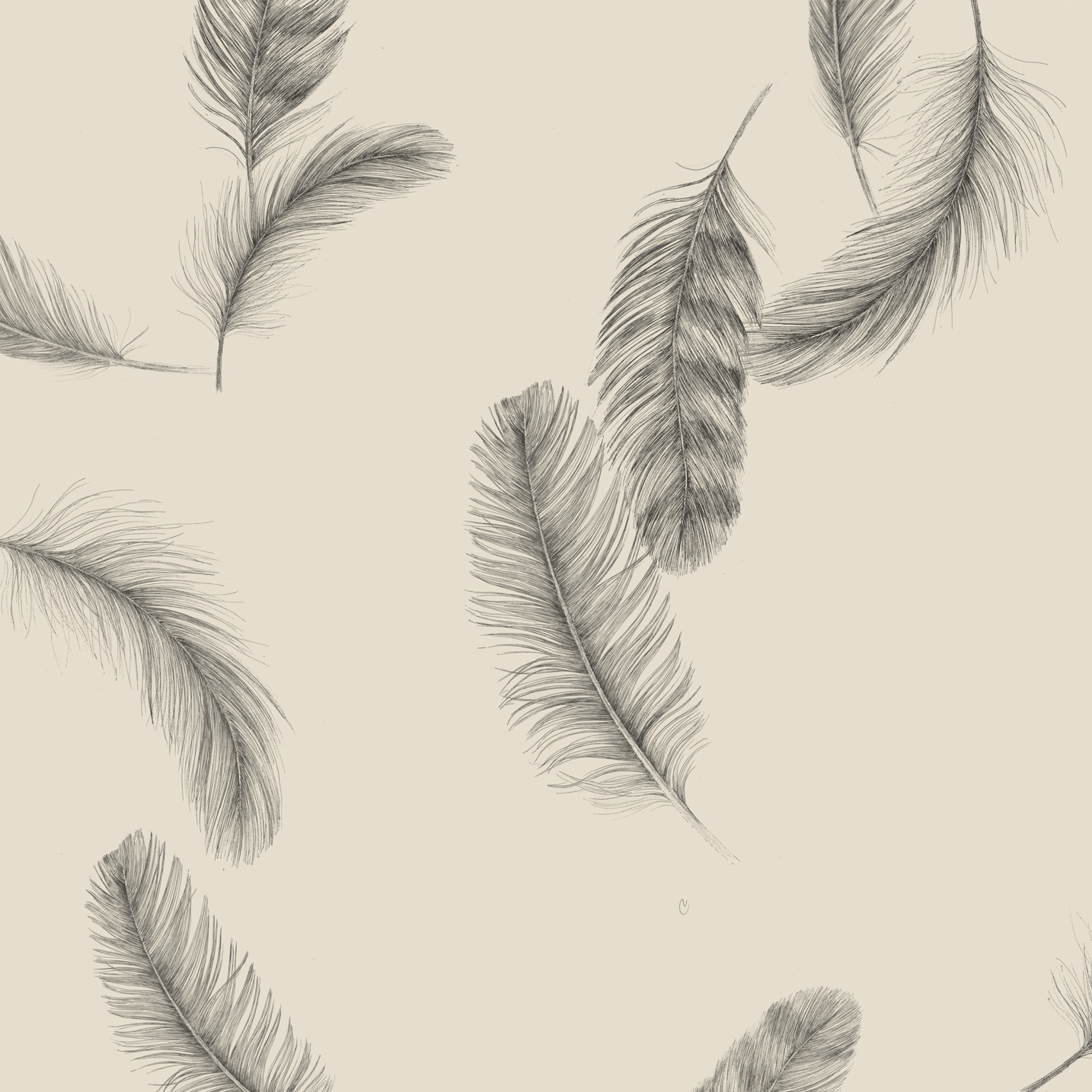 Newtown Creek Wallper, Parchment
