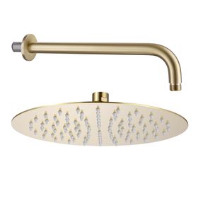 Harbour Clarity Round Shower Head with Shower Arm - Brushed Brass