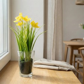Daffodils in Glass Vase