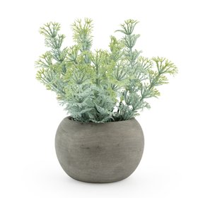 Mini Herbs in Grey pots