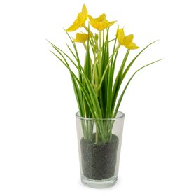 Daffodils in Glass Vase
