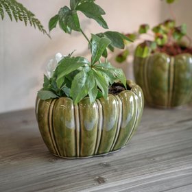 Bourton Olive Green Oval Planter