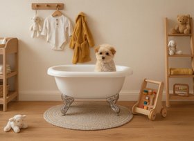 Sanctuary Chien 800mm x 500mm Freestanding Dog Bath