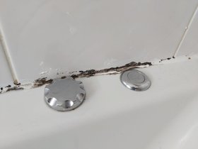 bathroom mould image