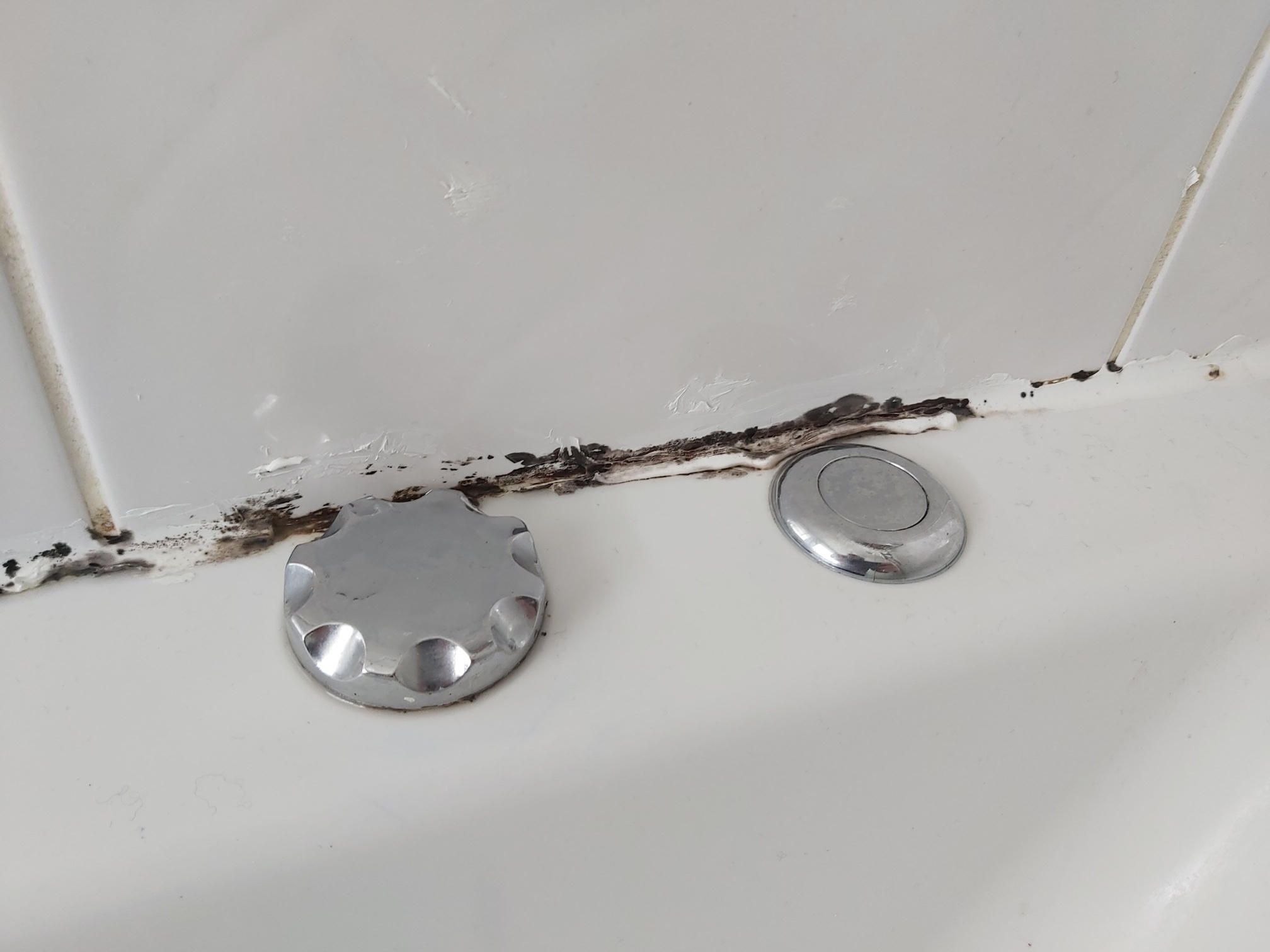 bathroom mould image