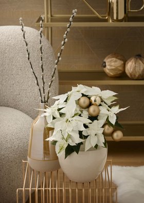 Cloud Dancer Florals