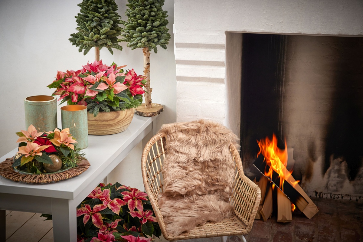Cottagecore floral style for Christmas