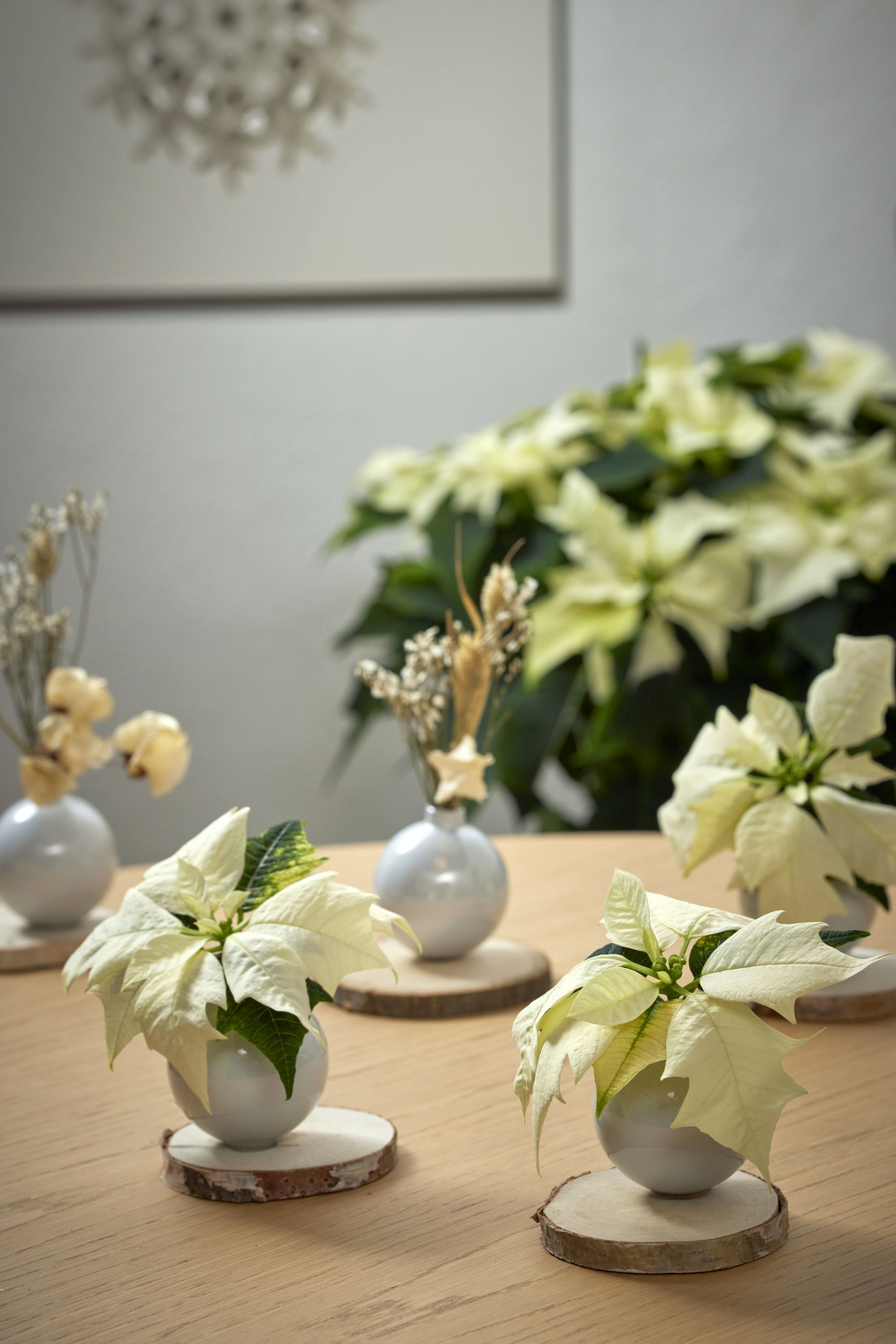 Golden Elegance: floral decor for Christmas
