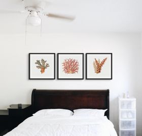 Reef Coral | Vintage Coral Print Wall Art - Square