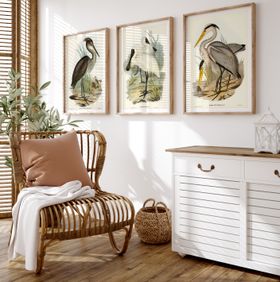 Spoonbill (Royal) Vintage Bird Art Print - Natural Framed