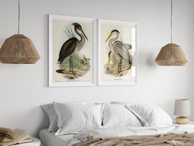 Great Billed Heron  Vintage Bird Art Print - White Frame