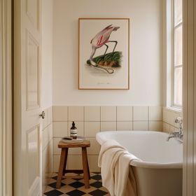 Spoonbill (Pink) Vintage Bird Art Print - Natural Frame