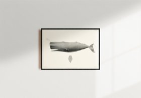 Vintage Whale Print - Sperm Whale Art -  Black Frame