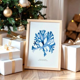 Indigo Seaweed Print - Seaweed Painting (Stalked Leaf Bearer) - Natural Frame