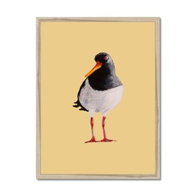 Oyster Catcher Bird Painting - Bird Art Print - Yellow Sand - Natural Framed