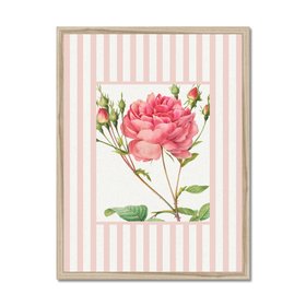 Vintage Rose 1 - Vintage Flower Art Print - Pink Stripe - Natural Framed
