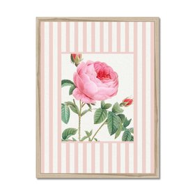 Vintage Rose 2 - Vintage Flower Art Print -  Pink Stripe - Natural Framed