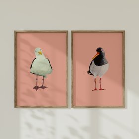 Oyster Catcher Bird Painting - Bird Art Print - Coral Pink -  Natural Framed