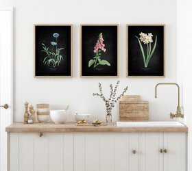 Foxglove - Botanical Art Vintage Flower Print - Black - Natural Framed