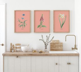 Cornflower - Botanical Art Vintage Flower Print - Coral Pink - Natural Framed