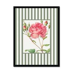 Vintage Rose 1 - Vintage Flower Art Print - Olive Green Stripe - Black Framed