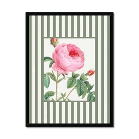 Vintage Rose 2 - Vintage Flower Art Print - Olive Green Stripe - Black Framed