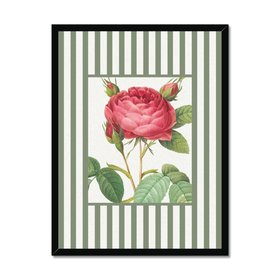 Vintage Rose 3 - Vintage Flower Art Print - Olive Green Stripe - Black Framed