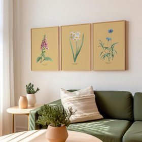 Narcissus - Botanical Art Vintage Flower Print -  Yellow Sand - Natural Framed