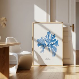 Indigo Seaweed Print - Botanical Seaweed Art (Sea Oak) - Natural Framed