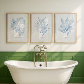 Set of Three Blue Seaweed Prints - Coastal Wall Art Set -  Natural Framed
