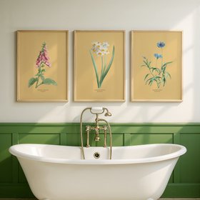 Narcissus - Botanical Art Vintage Flower Print -  Yellow Sand - Natural Framed