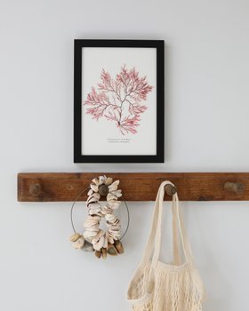 Seaweed Print - Pressed Seaweed Art (Fern Weed No2) - Black Frame