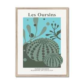 Les Oursins - Sage Green Sea Urchin Art Print - Coastal Wall Art - Natural Frame