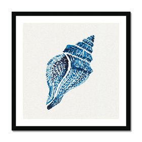 Whelk Shell No.1 | Contemporary Coastal Art Print - Framed