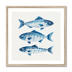 Coastal Fish Study No.1 - Framed