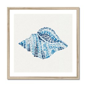 Conch Shell No.1 - Framed