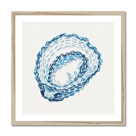 Oyster Shell No.1 - Framed