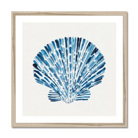Scallop Shell No.1 - Framed