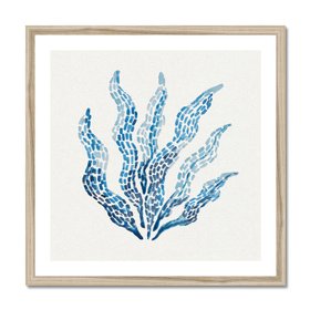 Seaweed No. 1 - Framed