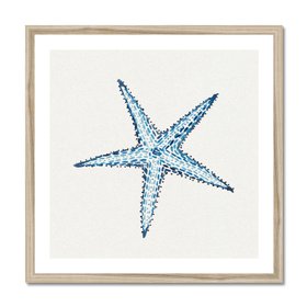 Starfish No.1 - Framed