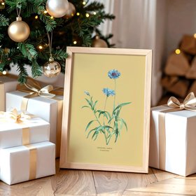 Cornflower - Botanical Art Vintage Flower Print - Yellow Sand - Natural Framed