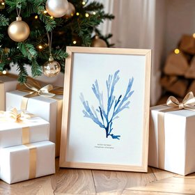 Indigo Seaweed Print - Seaweed Art (Papery Fan Weed) - Natural Frame