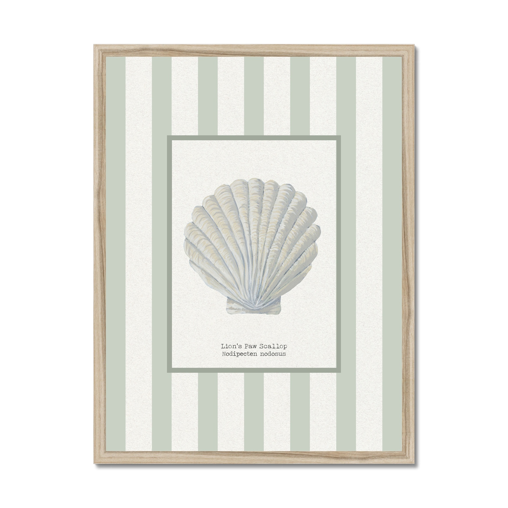 Hand-painted Scallop Shell Art Print - Sea Moss Green Stripe Background - Natural Frame