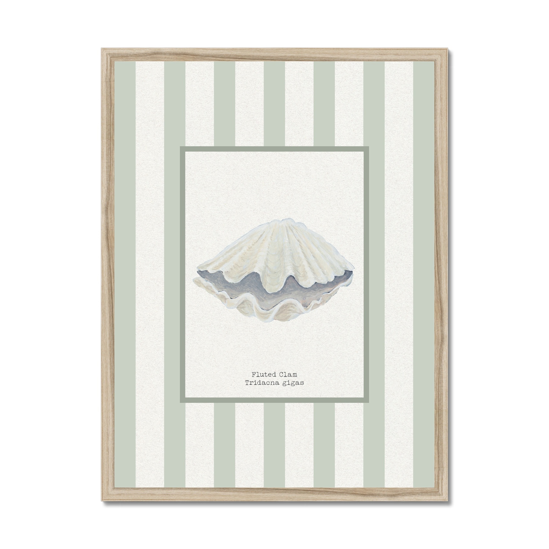 Hand-painted Clam Shell Art Print - Sea Moss Green Stripe Background - Natural Frame