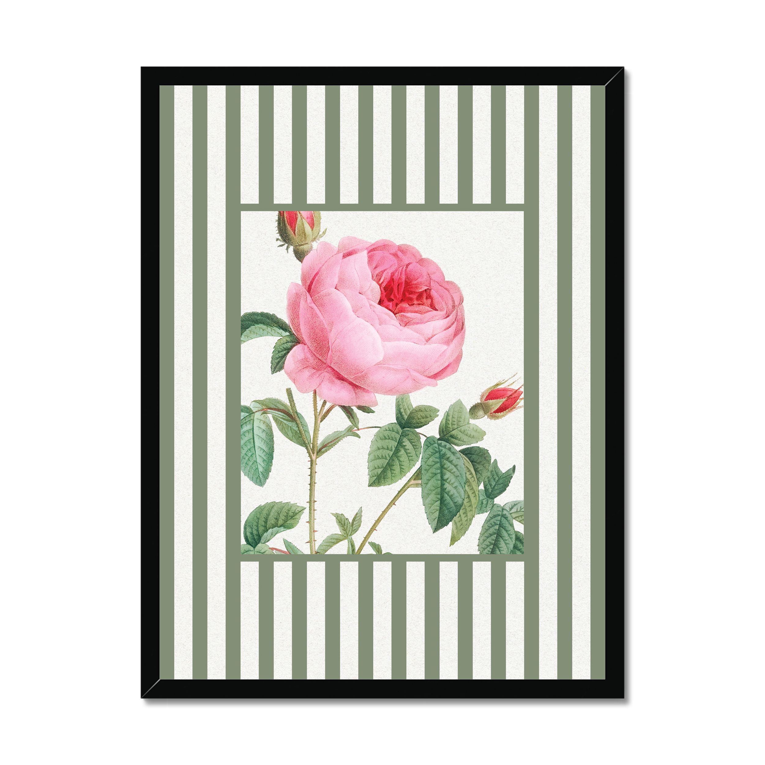 Vintage Rose 2 - Vintage Flower Art Print - Olive Green Stripe - Black Framed