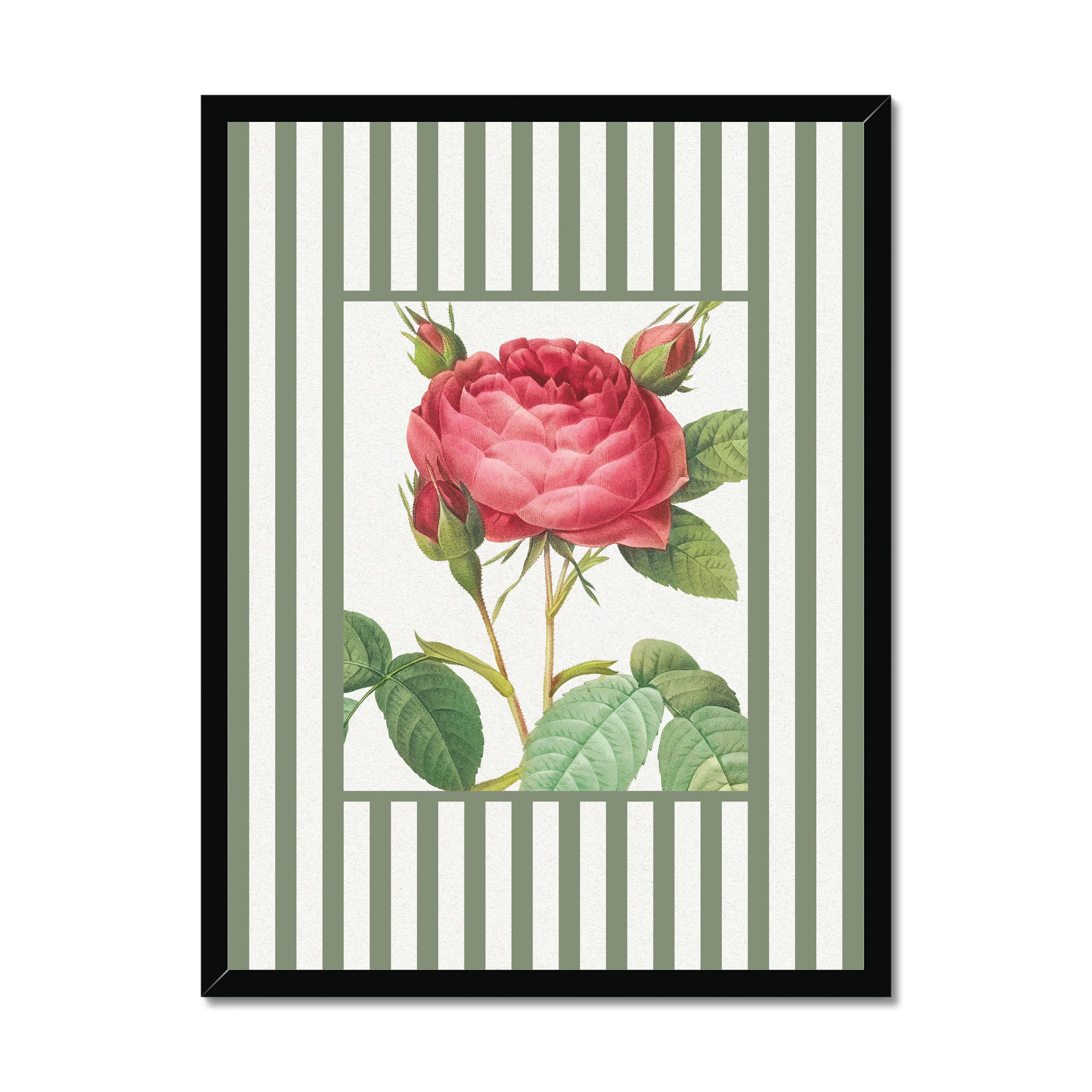 Vintage Rose 3 - Vintage Flower Art Print - Olive Green Stripe - Black Framed