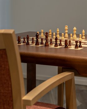 ERG CHESS