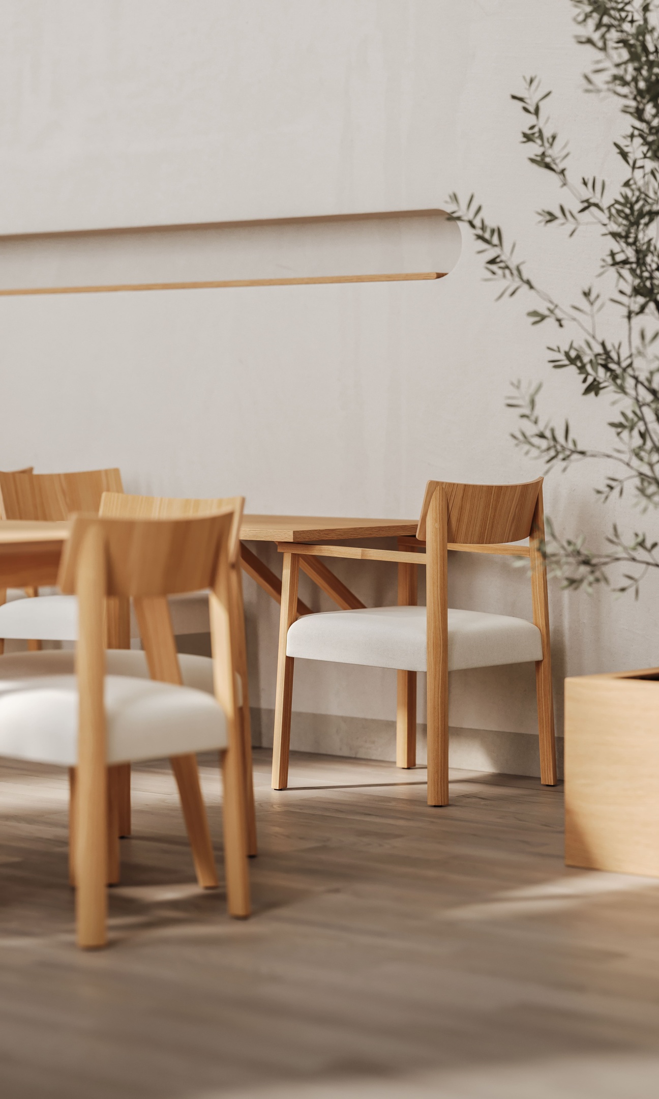 CANIA COLLECTION
