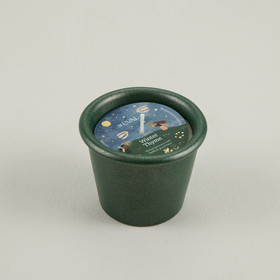 St Eval, Winter Thyme, Christmas Stardust Pot