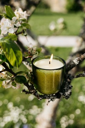 St Eval, Sea Garden Collection